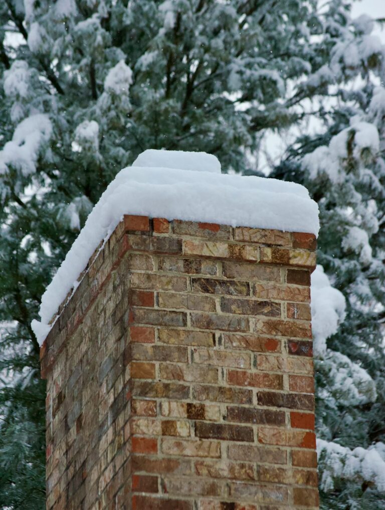 Homeowner inspecting a snow-covered roof from the ground beside clear gutters and trimmed tree branches.